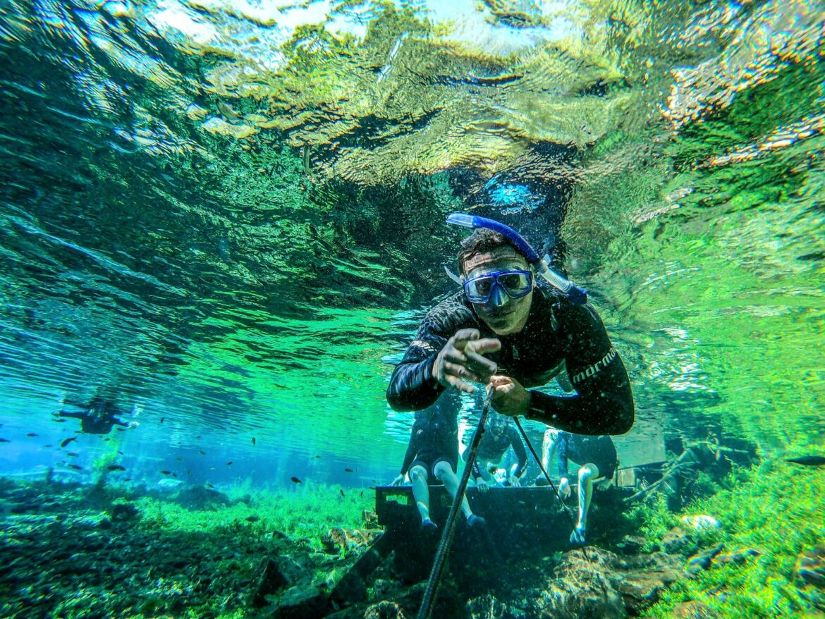 Treinar na piscina para nadar com tubarões Treinamento para a Realidade