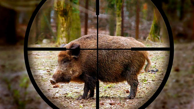 Imagem UDOP Imagem UDOP